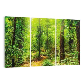 Obraz na płótnie 120x80 - Współistnienie z naturą - drzewa, las