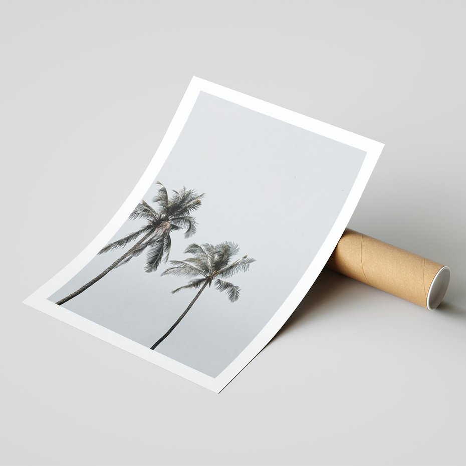 Plakat bez ramy 50x70 - Tropikalny Raj: Palmy i Niebo - palmy, niebo