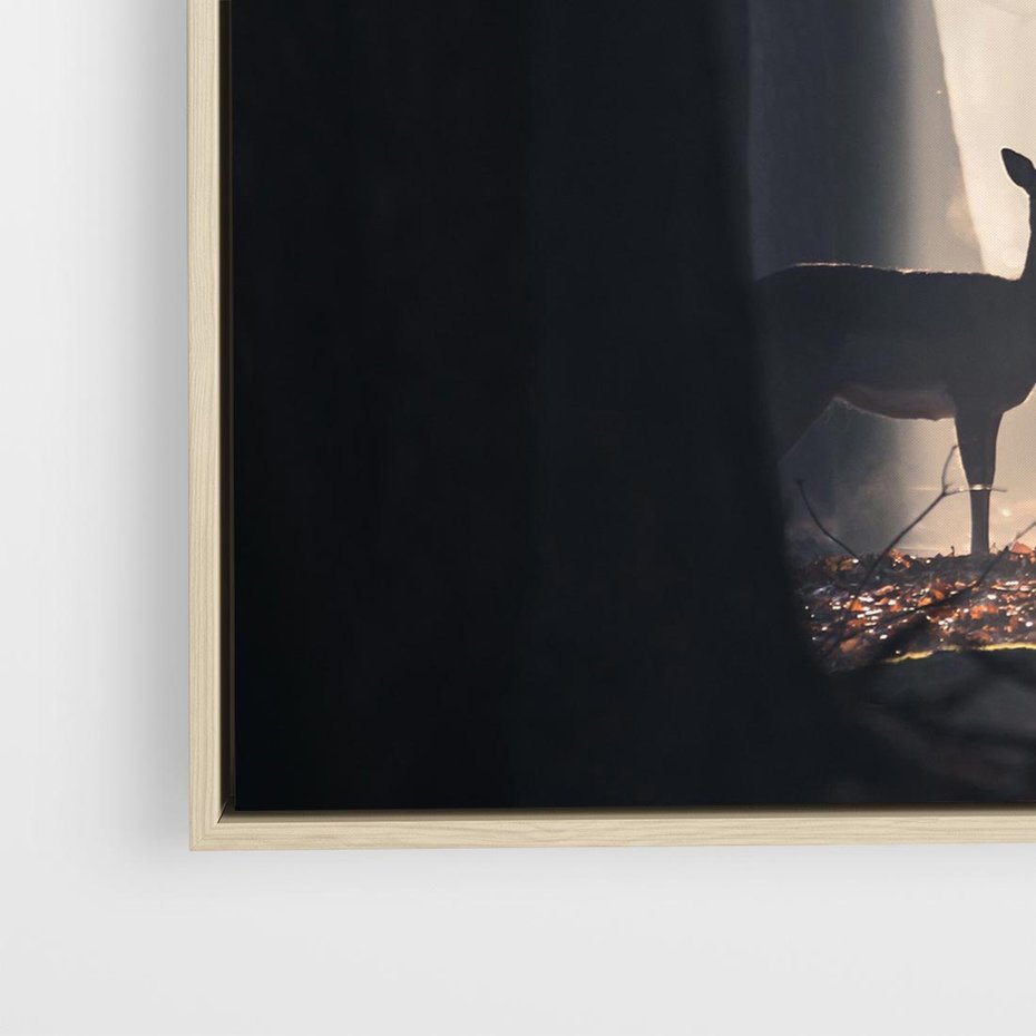 Obraz w ramie 80x80 - Sarnie Skoki - zdjęcie, klimatyczny las - rama drewno