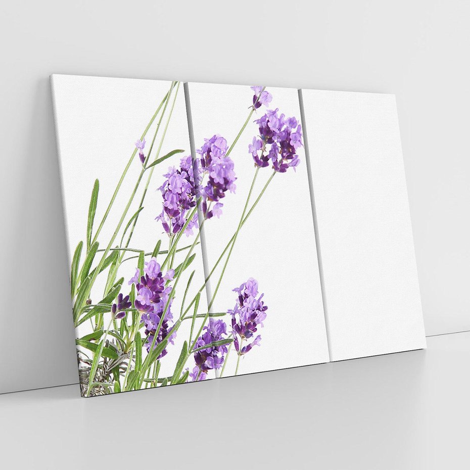 Obraz na płótnie 120x80 - Delikatny Urok - lawenda, kwiaty