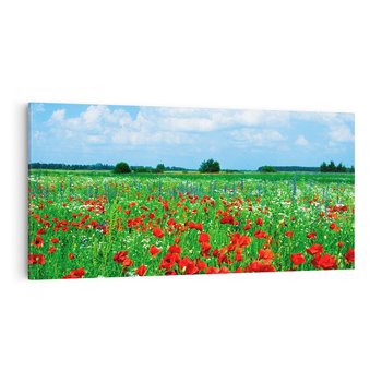 Obraz na płótnie 140x70 - Kolorowa łąka pełna maku - łąka, maki