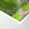Plakat bez ramy 30x40 - Spacer Ścieżką w Urokliwym Lesie - las, ścieżka