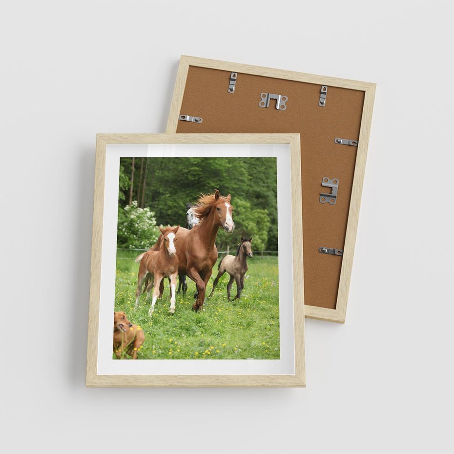 Plakat w ramie 40x50 - Galopujące konie - konie, galop - rama drewno