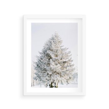 Plakat w ramie 40x50 - Zimowa Poezja w Ośnieżonym Drzewie - ośnieżone drzewo, zima - rama biała