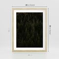 Plakat w ramie 40x50 - Ciemny las iglasty - las, iglasty - rama drewno