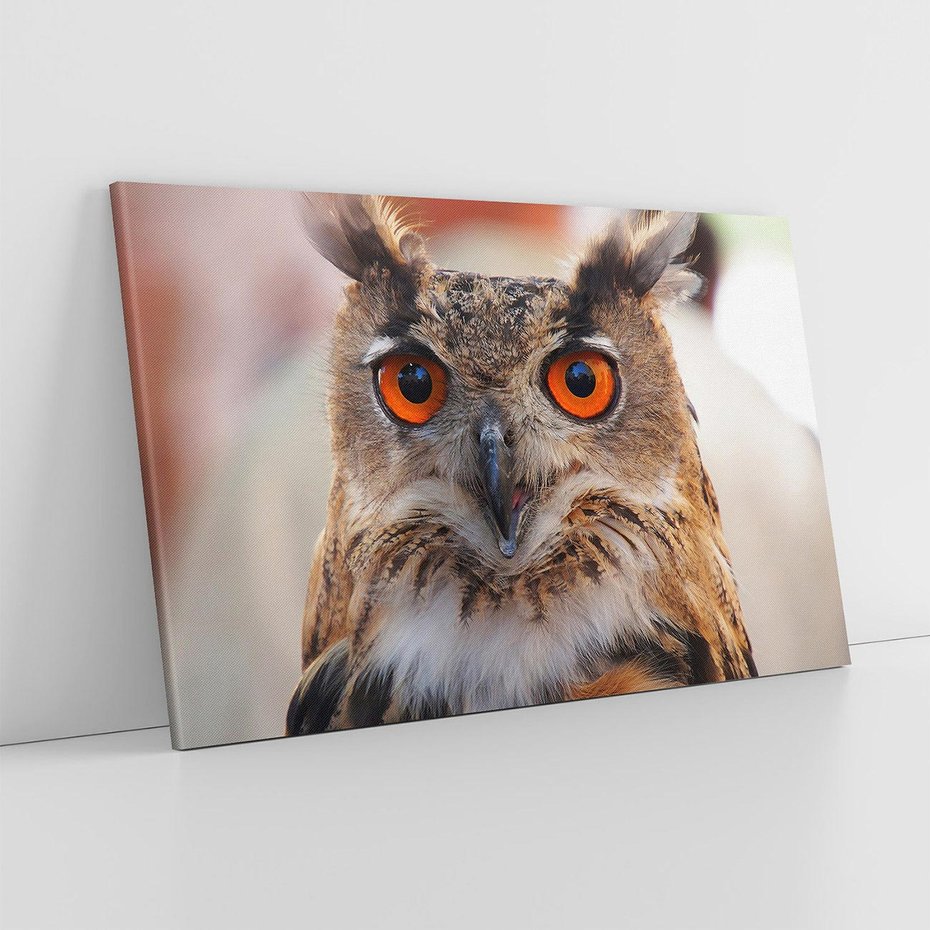 Obraz na płótnie 120x80 - Mądra sowa w locie - sowa, ptak