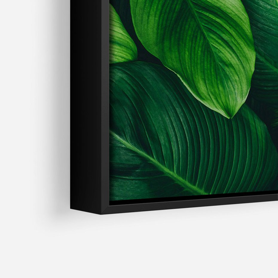 Obraz w ramie 50x70 - Palma Liście Kwiat - palma, liście - rama czarna
