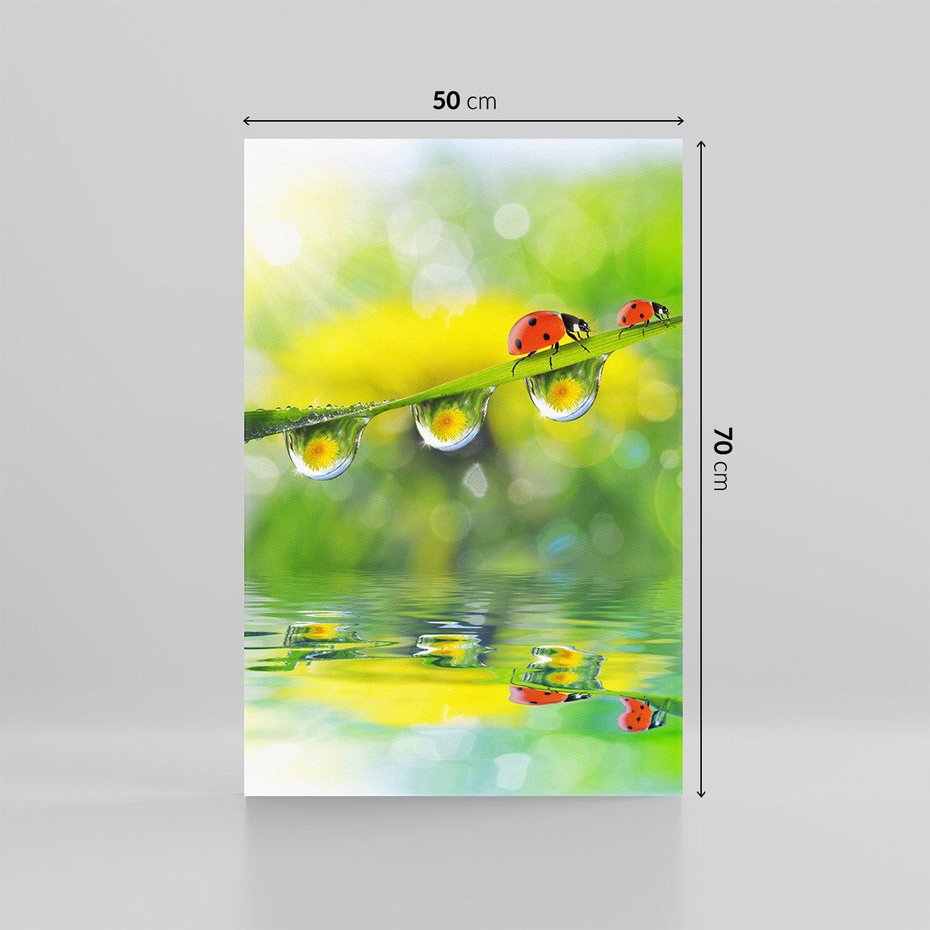 Obraz na płótnie 50x70 - Deszczowa Biedronka - biedronka, deszcz