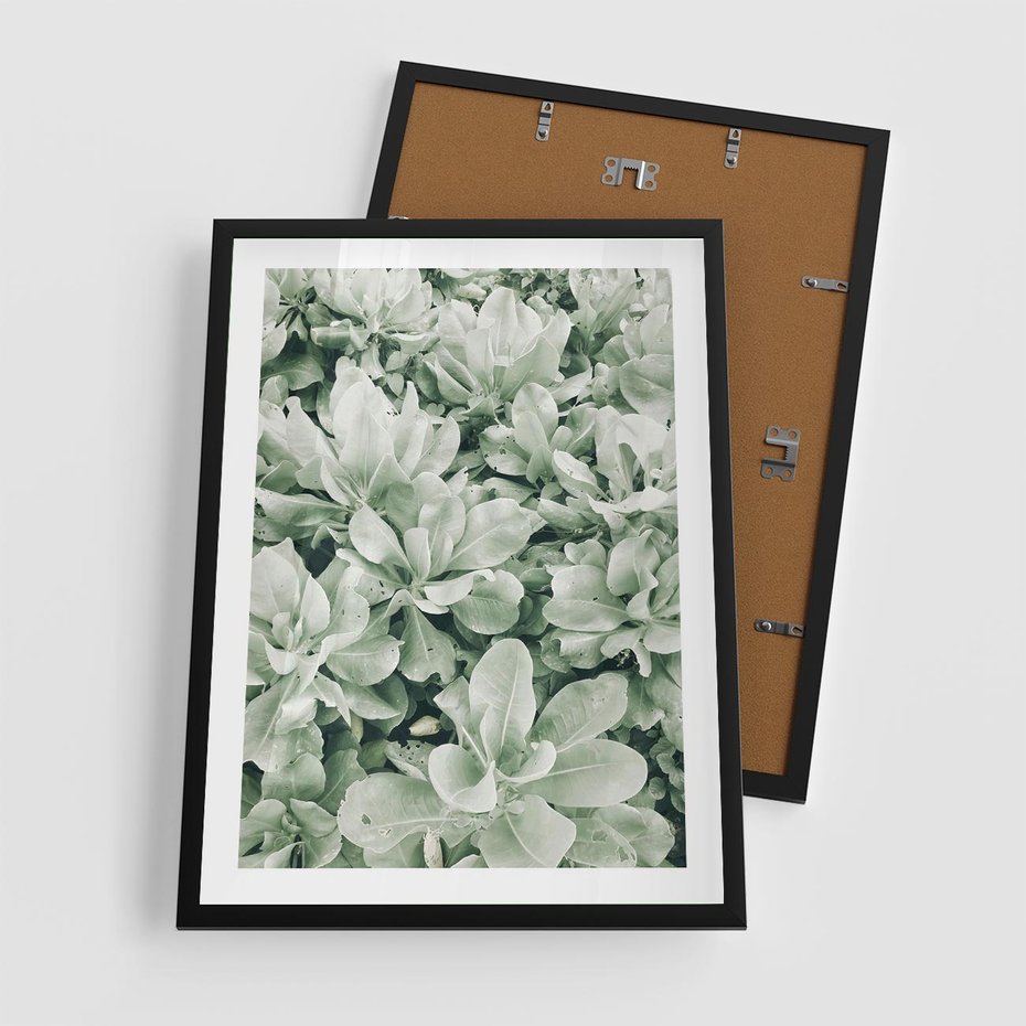Plakat w ramie 50x70 - Liście w Jasnych Odcieniach Zielonego - liście, jasna zieleń fotografia - rama czarna