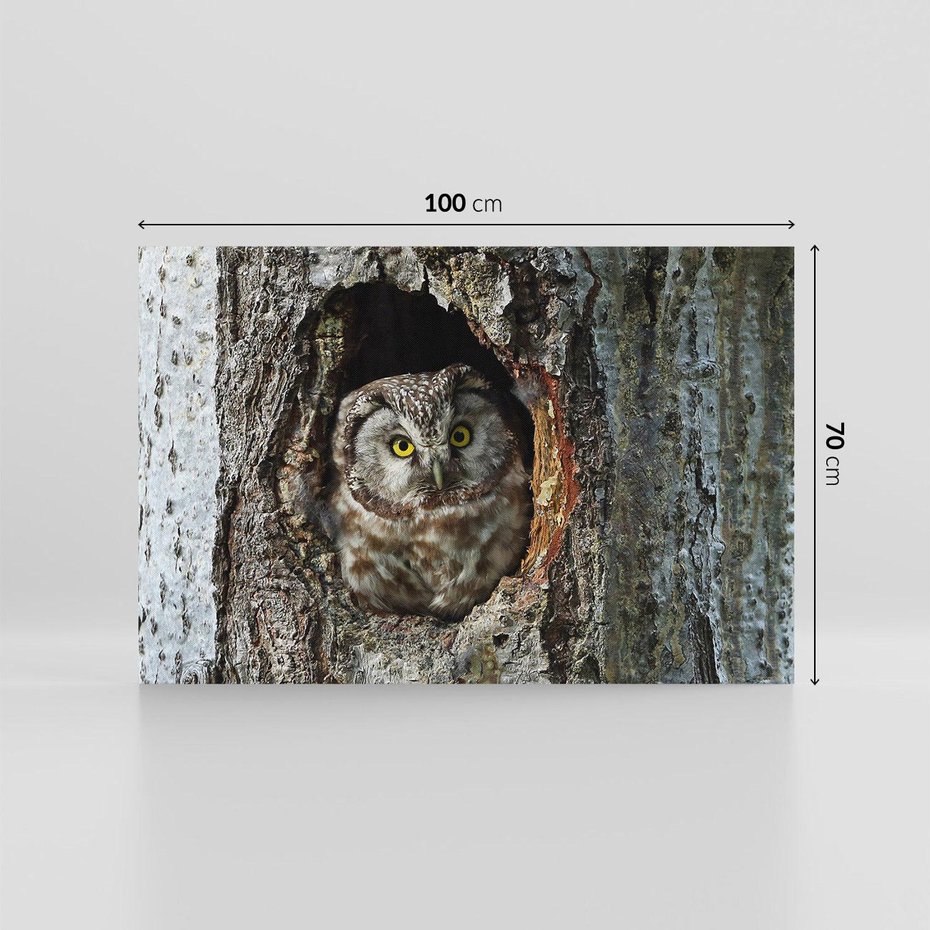 Obraz na płótnie 100x70 - Tajemniczy W świecie Nocy - sowa, dziupla