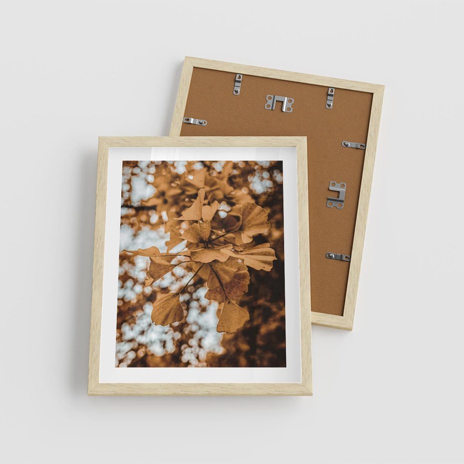 Plakat w ramie 40x50 - Nostalgiczny Miłorząb - miłorząb, liście - rama drewno