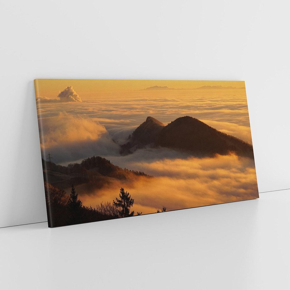 Obraz na płótnie 140x70 - Górzysty ukryty las - góry, las