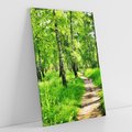 Obraz na płótnie 80x120 - odkryj piękno drzew - las, drzewa