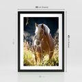 Plakat w ramie 30x40 - Spotkanie konia na łące - koń, łąka - rama czarna