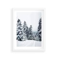 Plakat w ramie 30x40 - Zimowy Las Pod Kołdrą - las, zima - rama biała