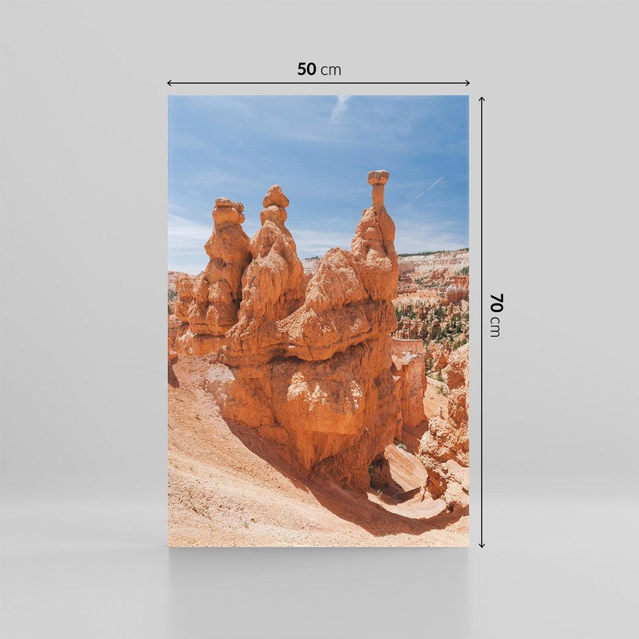 Obraz na płótnie 50x70 - Spektakularne Formacje Naturalne - kanion, pustynia