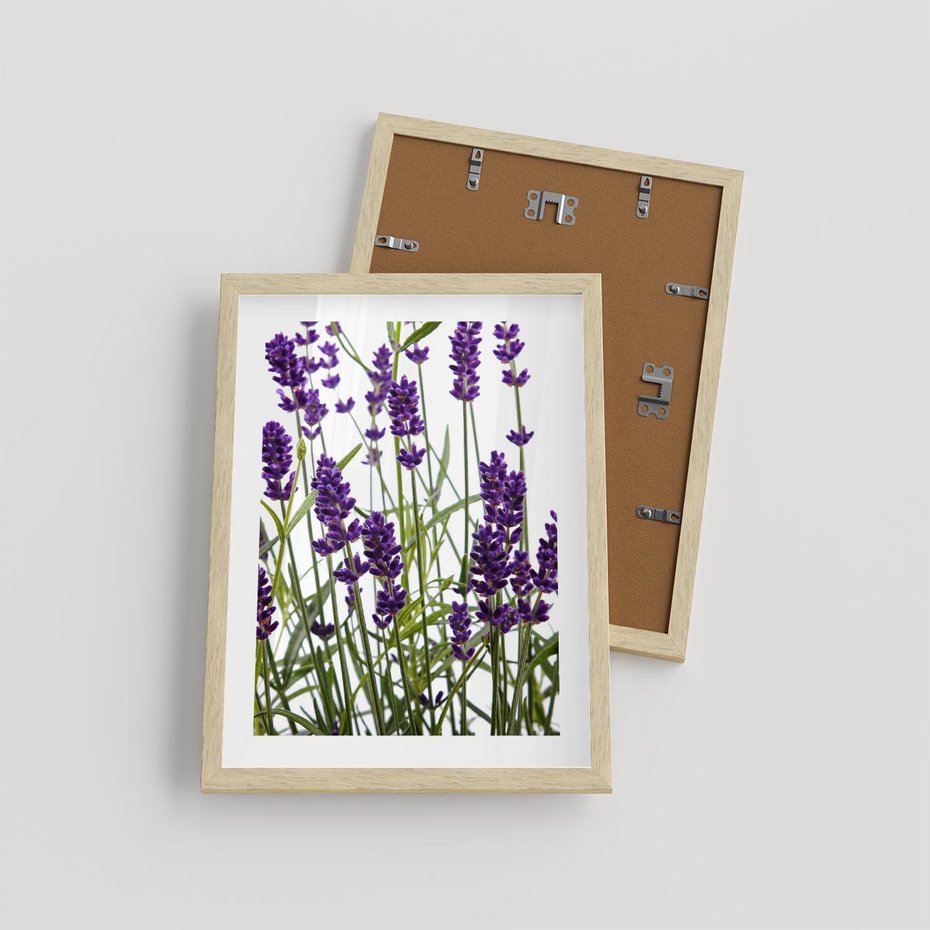 Plakat w ramie 30x40 - Fioletowa harmonia lawendy - lawenda, fiolet - rama drewno