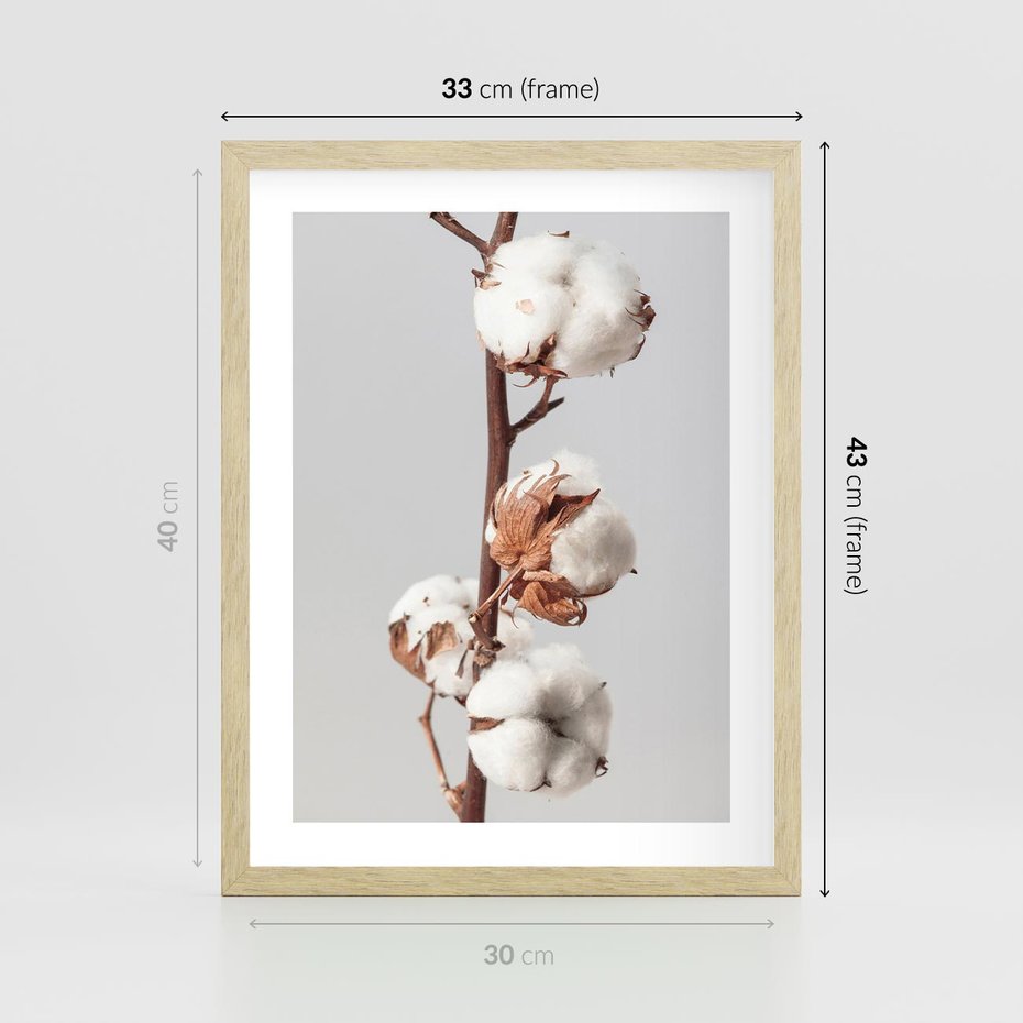 Plakat w ramie 30x40 - Spokojna Gałązka Bawełny - gałązka bawełny, prosta spokojna fotografia - rama drewno