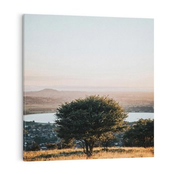 Obraz na płótnie 40x40 - Siła Natury - drzewo, pejzaż