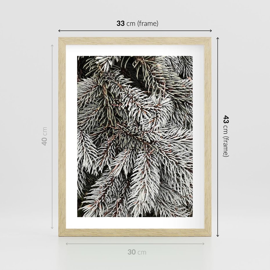 Plakat w ramie 30x40 - Cisza Zimowej Natury - zima, iglaste gałązki - rama drewno