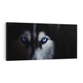 Obraz na płótnie 140x70 - Wilk i husky: siła przyjaźni - wilk, husky