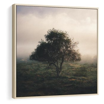 Obraz w ramie 80x80 - Zamglona Prostota - artystyczna fotografia, samotne drzewo na zamglonej łące - rama drewno