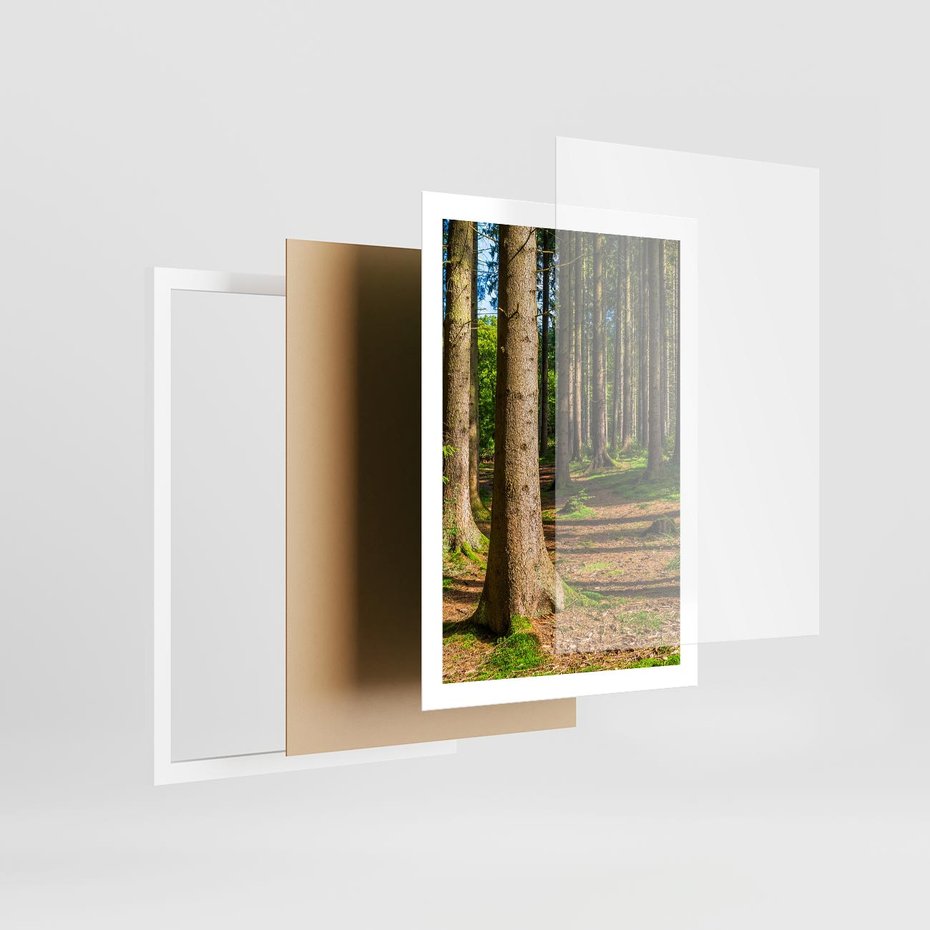 Plakat w ramie 50x70 - Las: harmonia natury - las, drzewa - rama biała