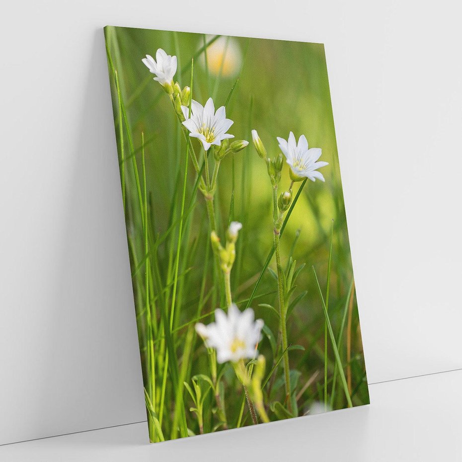 Obraz na płótnie 80x120 - Kolorowa łąka - stokrotki, łąka