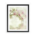 Plakat w ramie 40x50 - Orchidea w Spa - orchidea, kwiaty - rama czarna