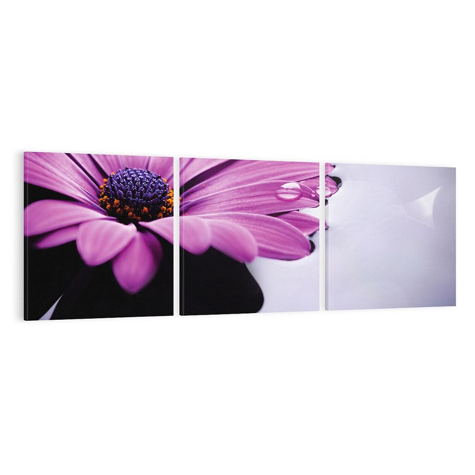 Obraz na płótnie 120x40 - kwiatowa harmonia - kwiat, SPA