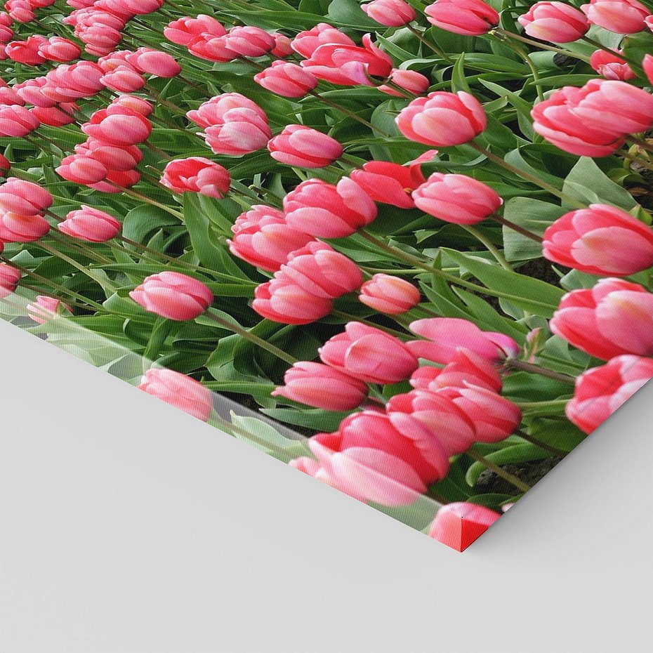 Obraz na płótnie 50x50 - Tulipanowe Elegancja - tulipany, kwiat