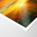 Plakat bez ramy 21x30 - Magia zachodu słońca na łące z makami - łąka, zachód słońca