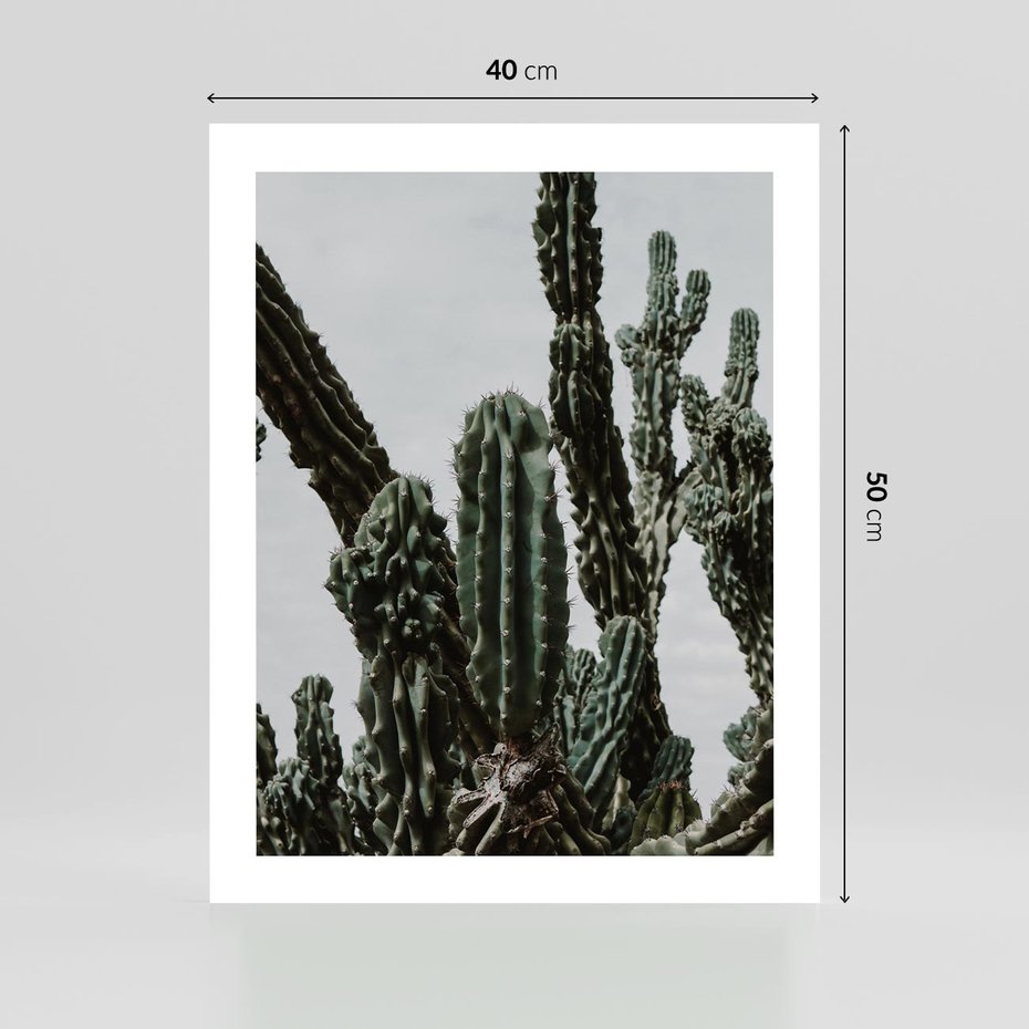 Plakat bez ramy 40x50 - Boho oaza wśród kaktusów - kaktusy, pustynia