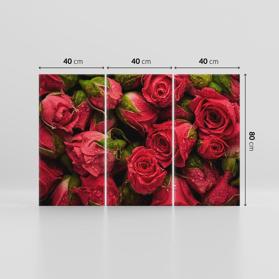 Obraz na płótnie 120x80 - Piękno róż: delikatność natury - róże, kwiaty