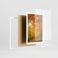 Plakat w ramie 50x70 - Złote barwy jesiennego lasu - las, jesień - rama biała