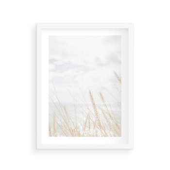 Plakat w ramie 30x40 - Jasna Delikatność: Fotografia Suchych Traw - suche trawy, jasna fotografia - rama biała