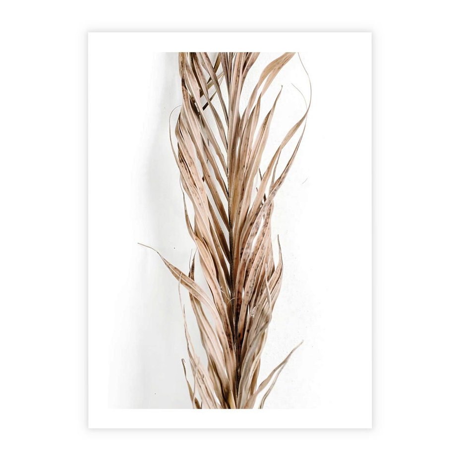 Plakat bez ramy 21x30 - Minimalizm Palmowy: Sucha Uroda - sucha palma, minimalizm
