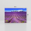 Obraz na płótnie 120x80 - pola wonnych kwiatów - lawenda, kwiaty