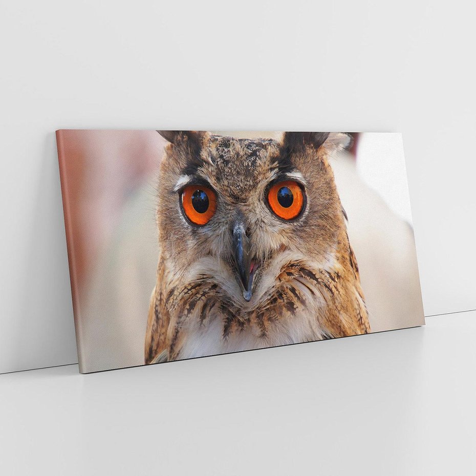 Obraz na płótnie 120x60 - Mądra sowa w locie - sowa, ptak