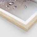 Plakat w ramie 30x40 - Delikatne Natchnienie - krople, dmuchawce - rama drewno
