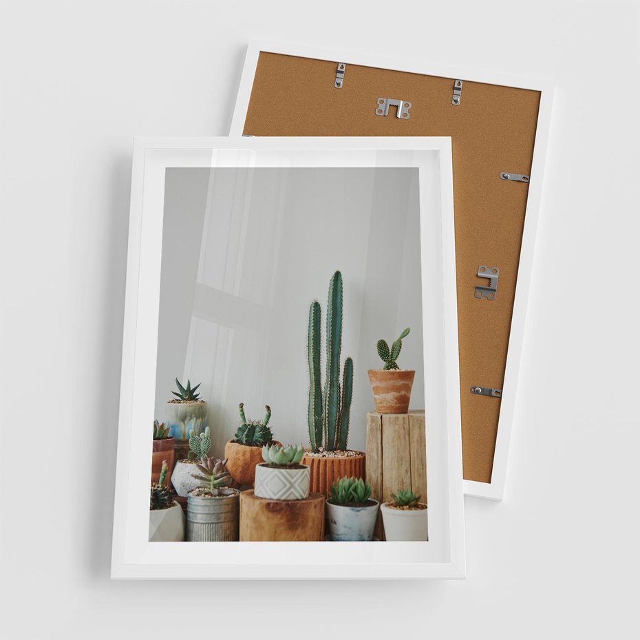 Plakat w ramie 50x70 - Naturalna Harmonia - kaktusy, liście - rama biała