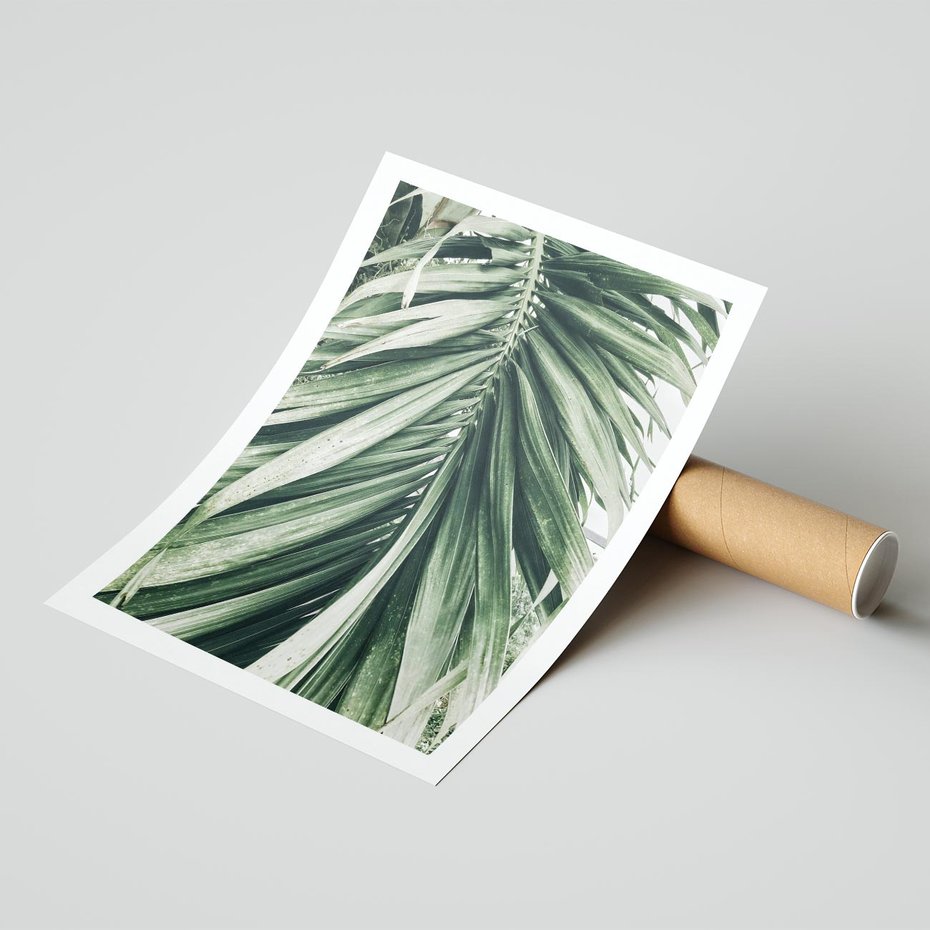 Plakat bez ramy 30x40 - Spokojna Piękność Palmowych Liści - palma, liście palmy