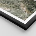 Plakat w ramie 50x70 - Egzotyczny Świat Palm - palmy, liście palmy - rama czarna