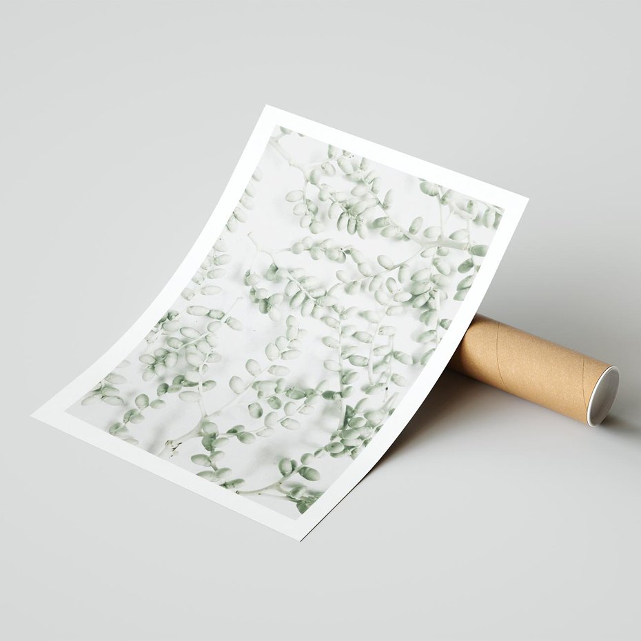 Plakat bez ramy 21x30 - Delikatność Zieleni - zielone gałązki, listki