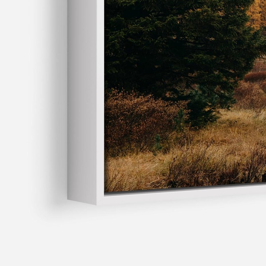 Obraz w ramie 70x50 - W Górskiej Dolinie - artystyczna fotografia, las - rama biała