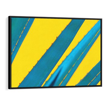 Obraz w ramie 100x70 - Świeżość Natury - aloes, liście - rama czarna