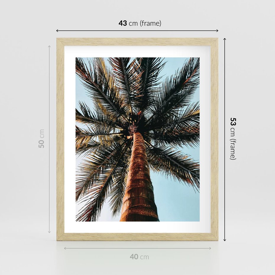 Plakat w ramie 40x50 - Rajskie Inspiracje: Palma na Niebie - palma, na tle nieba - rama drewno