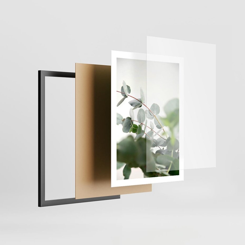 Plakat w ramie 50x70 - Zielony Świat Eukaliptusa - eukaliptus, fotografia - rama czarna