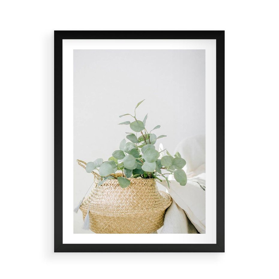 Plakat w ramie 50x70 - Eukaliptusowa Świeżość - eukaliptus, liście w koszu z wikliny - rama czarna