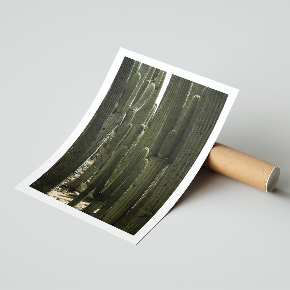 Plakat bez ramy 21x30 - Wyjątkowy Klimat Boho - kaktusy, pustynia